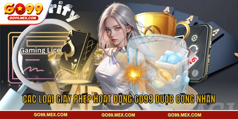 Các loại giấy phép hoạt động GO99 được công nhận