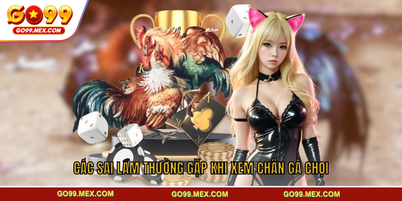 Các sai lầm thường gặp khi xem chân gà chọi