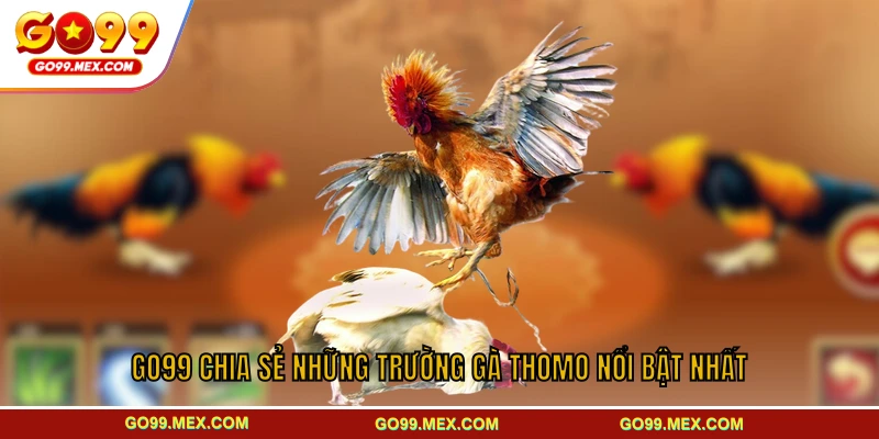 GO99 chia sẻ những trường gà Thomo nổi bật nhất