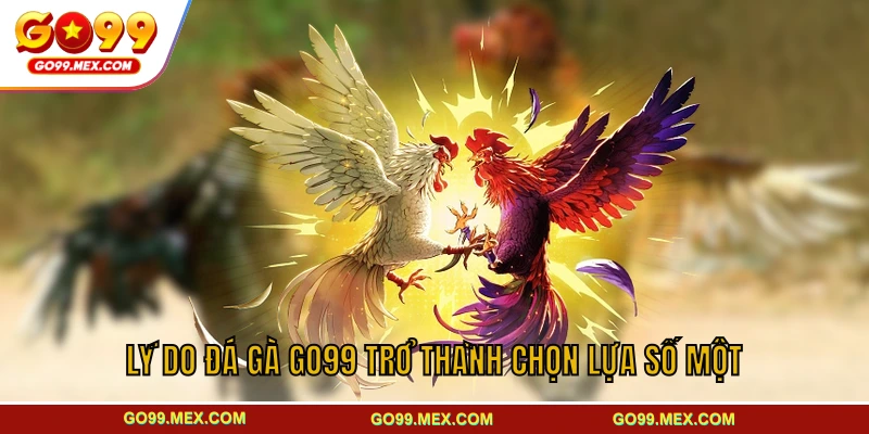 Lý do đá gà GO99 trở thành chọn lựa số một