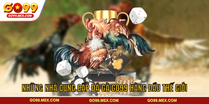 Những nhà cung cấp đá gà GO99 hàng đầu thế giới