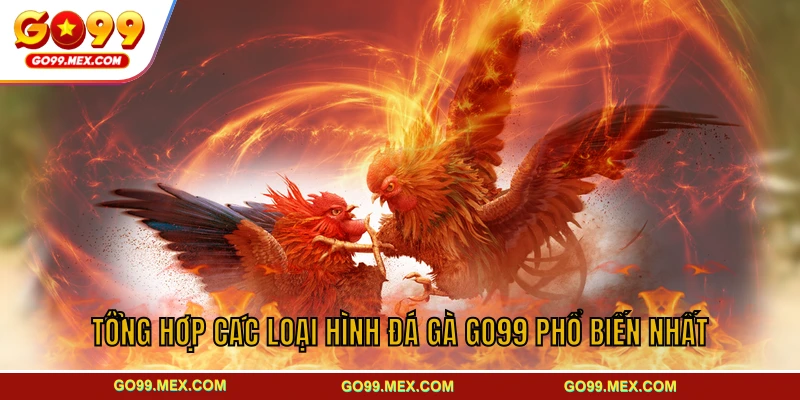 Tổng hợp các loại hình đá gà GO99 phổ biến nhất